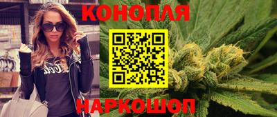 гашик Сланцы