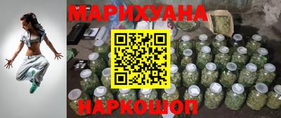 сатива Славгород