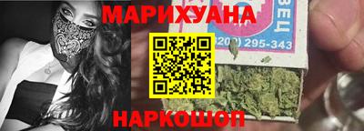 сатива Славгород