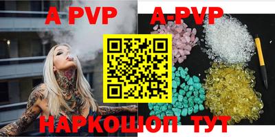 гашик Сланцы